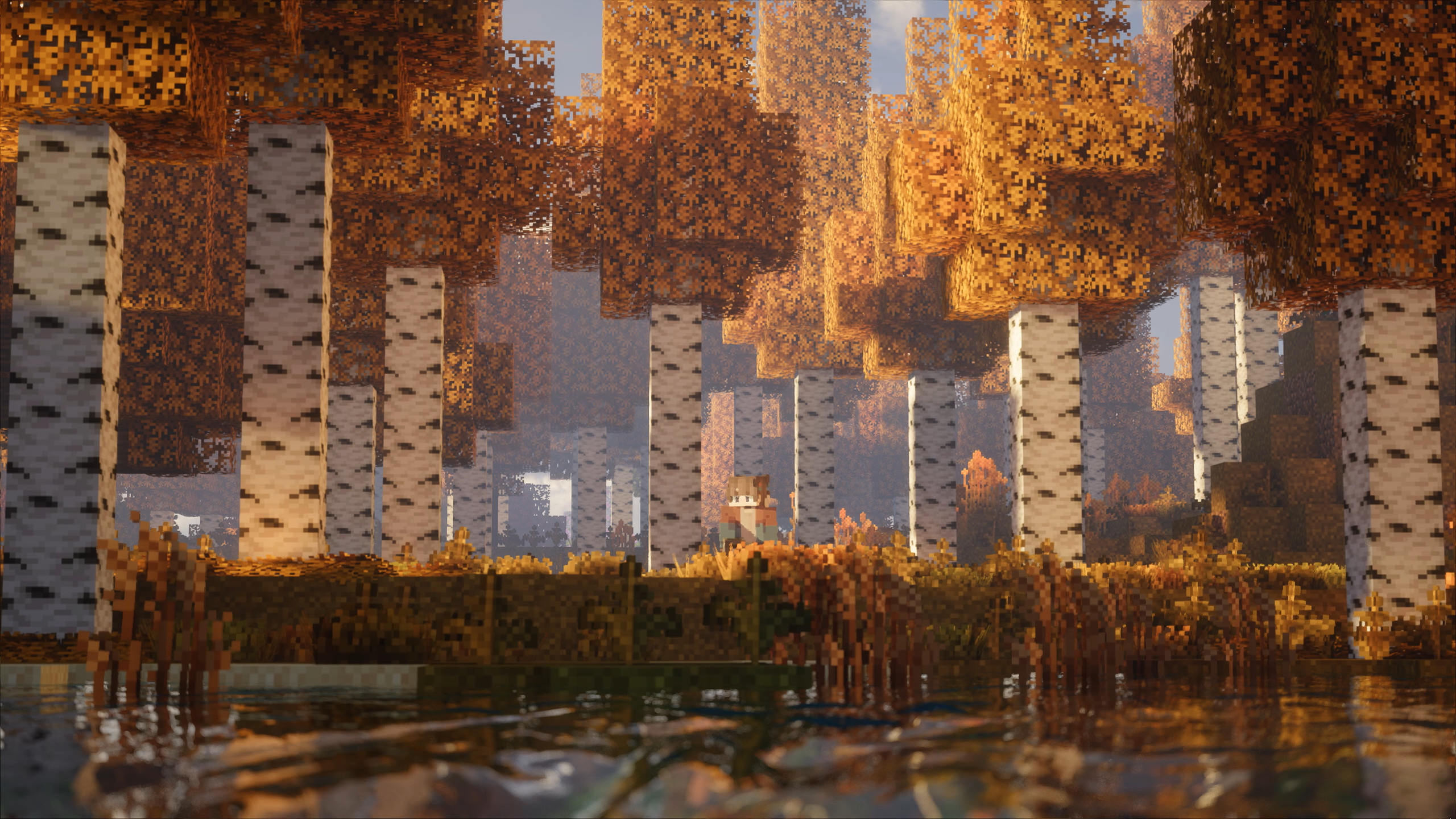 Minecraft - 图片 4